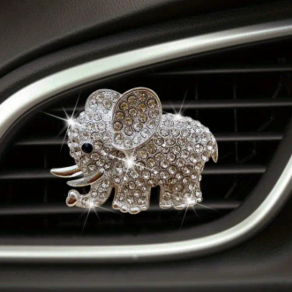 Car Accessory & Air Freshener